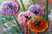 Набор-миди для вышивки бисером на натуральном художественном холсте Разноцветные шары Абрис Арт АМВ-017