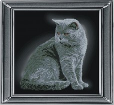 Набор для вышивки крестом Британская короткошерстная кошка Краса и творчiсть 21111