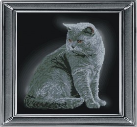 Набор для вышивки крестом Британская короткошерстная кошка Краса и творчiсть 21111 - 475.00грн.
