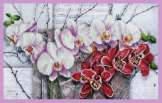 Набор для вышивки бисером Симфония орхидей Картины бисером Р-263