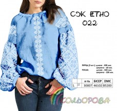 Сорочка жіноча на домотканому полотні СЖ-ЕТНО-022 Кольорова СЖ-Етно-022-Дніпро Блакитний