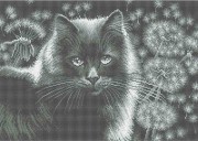Схема вишивкі бісером на габардині Кішка у кульбабі