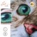 Набор для вышивания крестом LanArte Чистый взгляд PN-0203542 (счетный крест) LanArte PN-0203542