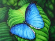 Набор для выкладки алмазной мозаикой Синяя бабочка