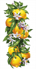 Схема вышивки бисером на габардине Сочные лимоны  Tela Artis (Тэла Артис) ТК-097