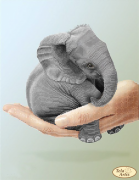 Схема вишивки бісером на атласі Крихта слоненя