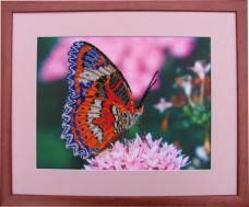 Набор для вышивки бисером Бабочка Баттерфляй (Butterfly) 102Б