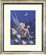 Набор для вышивки бисером Падающая звезда