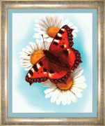 Малюнок на тканині для вишивання бісером Ромашка і метелик