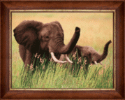 Рисунок на ткани для вышивки бисером Слоны