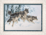 Набор для вышивки крестом По зимнему следц