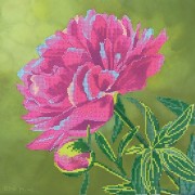 Рисунок на ткани для вышивки бисером Розовый пион