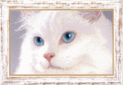 Рисунок на ткани для вышивки бисером Белый кот
