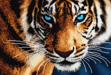 Малюнок на атласі для вишивки бісером Тигр