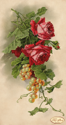 Рисунок на ткани для вышивки бисером Розы и виноград
