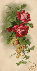 Рисунок на ткани для вышивки бисером Розы и виноград Tela Artis (Тэла Артис) ТК-024