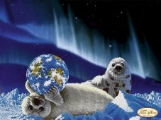 Рисунок на ткани для вышивки бисером Морские котики. Спасём планету Tela Artis (Тэла Артис) ТА-078