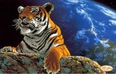 Рисунок на ткани для вышивки бисером Амурский тигр. Спасём плвнету Tela Artis (Тэла Артис) ТА-079